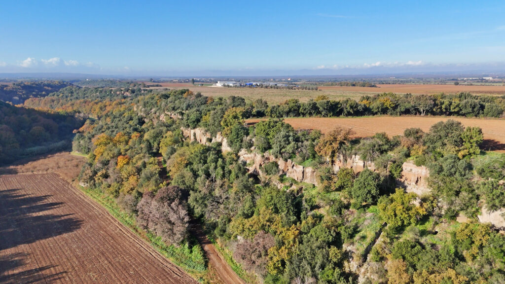 View of the wooded gorge of Necropoli di Castel d'Asso, with ancient burial sites carved into the rock faces.
