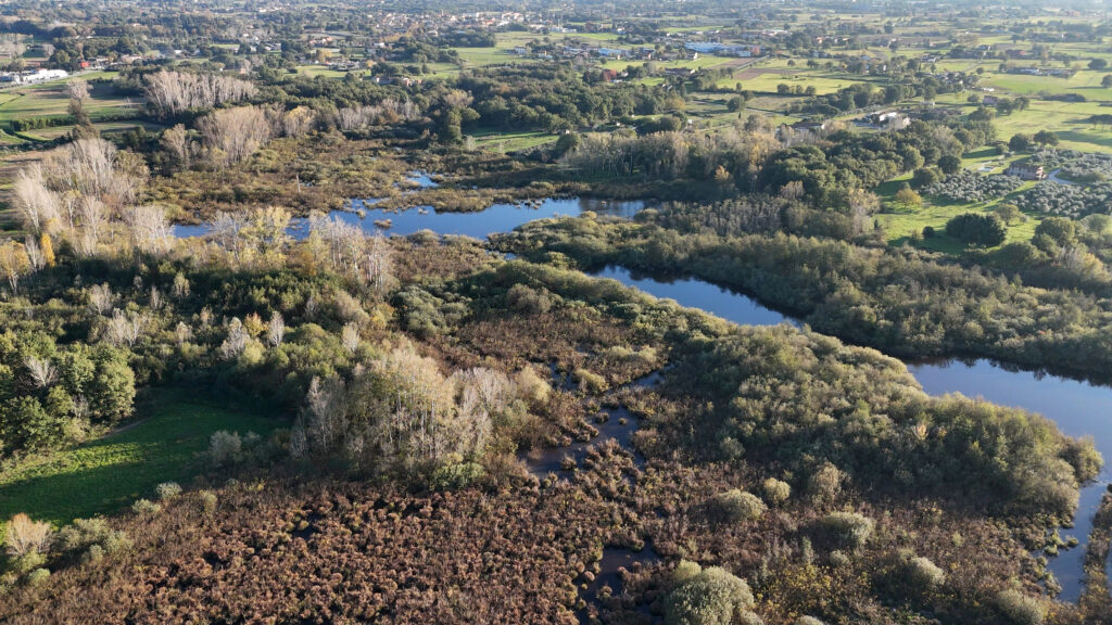 “Veduta aerea del Lago di Sibolla in Toscana con superfici d'acqua sinuose, vegetazione dai colori autunnali e un'ampia veduta della pianura verde fino all'orizzonte”.