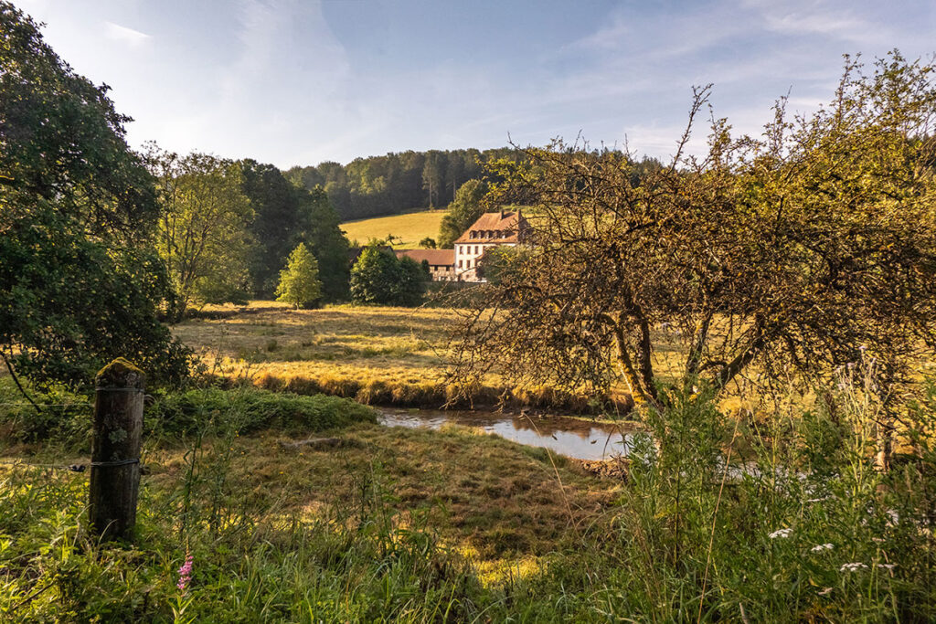 Morning view of Hoher Knuck inn in Hafenlohr Valley with trees, stream, meadow and soft golden light, captured in early summer