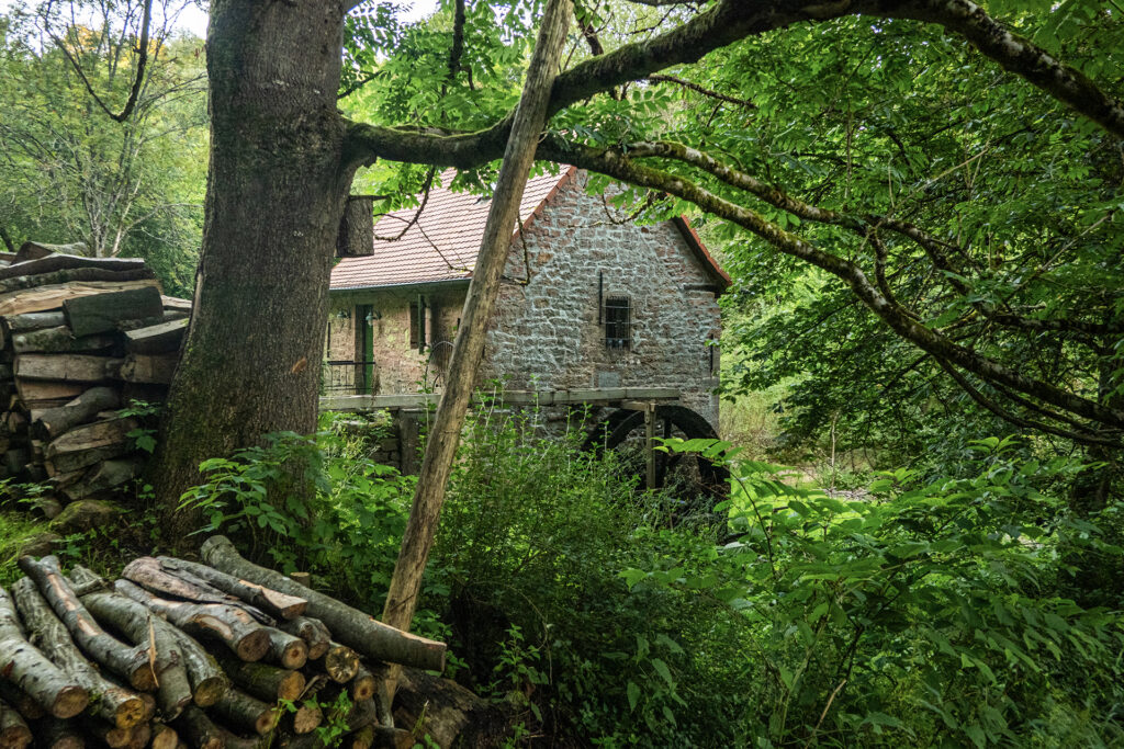 Old stone mill building surrounded by dense forest vegetation in the Hafenlohr Valley, Spessart, partially framed by trees and branches.