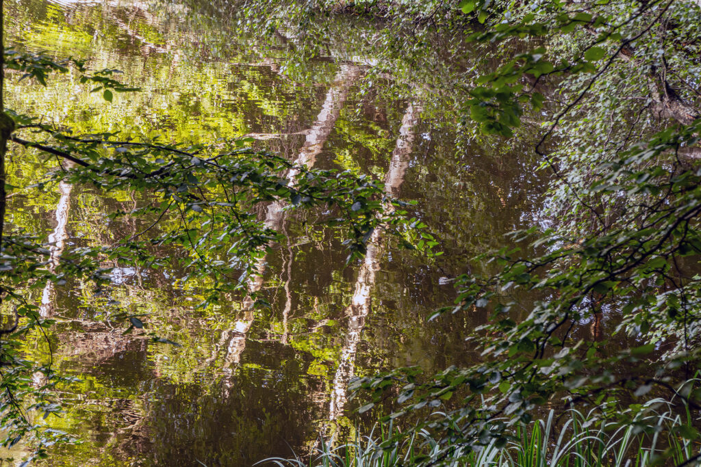 Reflections of trees and foliage on the calm surface of Aubach Lake in the Spessart forest.