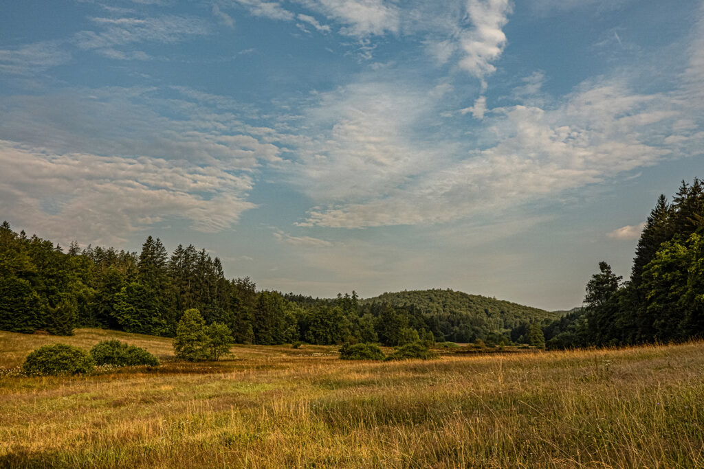 Open meadow with forested hills and scattered trees under a partly cloudy sky at Weihersgrund in the Spessart, Germany